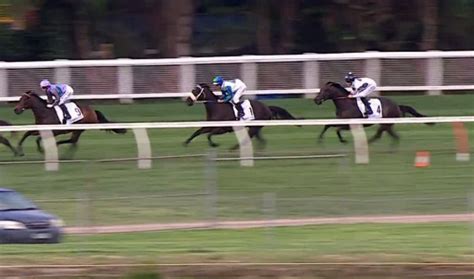 moir stakes results|Moir Stakes .